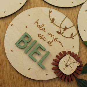 Set Placas Cumplemes León